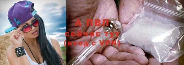 прущие крисы Белоозёрский